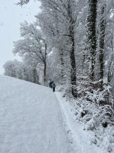 Le long de la forêt vers Hauterive