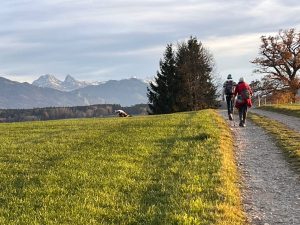 Retour par Mannens vers Ecuvillens.