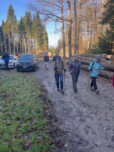 Départ de la cabane de la forêt des Fours
