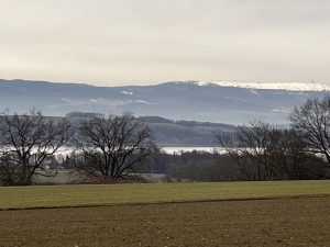 Suite en direction de Villarepos