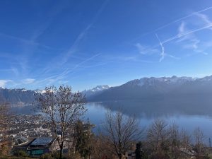 que j'ai eu l'occasion de voir (vue magnifique sur le lac Léman)