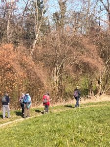 Cheminement bucolique ...