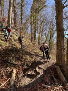 La descente 