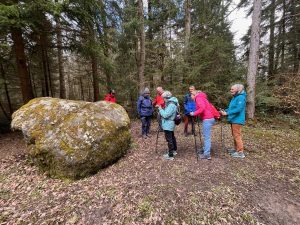 Le bloc erratique de Verdilloud