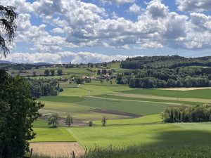 Corjolens de loin...