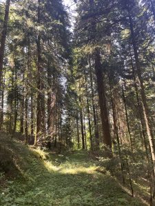 par un sentier