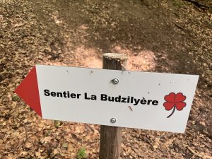 les Monts de Corsiers, sur les flancs du Mont Vuarat