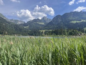le long du lac.
