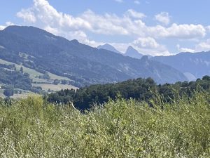 Des hauts du bry.