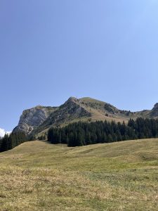 Le revoilà..