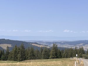 La plaine