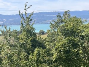 le Vully