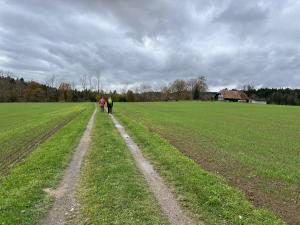 Dans les champs.