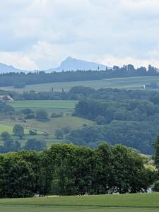 de la forêt en-dessus de Ménières.