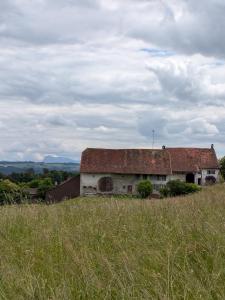 avant Aumont