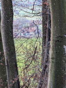 dans la forêt de fin de Muey