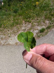 avec chance, vers le