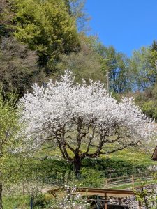 passer imperturbablement.