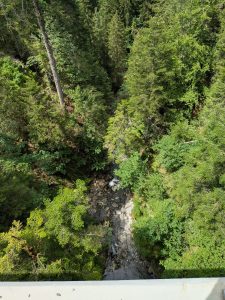 Stationnement aux Paccots, et déjà La Veveyse de Châtel vue