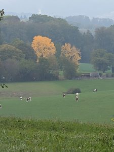 Couleurs d'automne