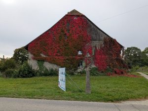 Magnifique façade