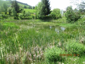 Treyvaux origine Grand-maman Roulin 2015 05 120101 