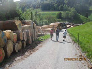 Treyvaux origine Grand-maman Roulin 2015 05 120110 