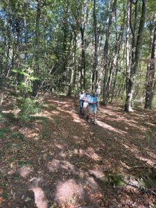 le Grand-Bois.