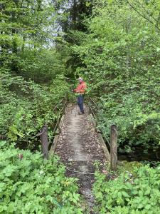 Pont sur la Mionna