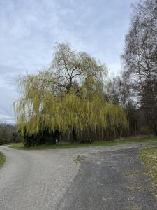 près des